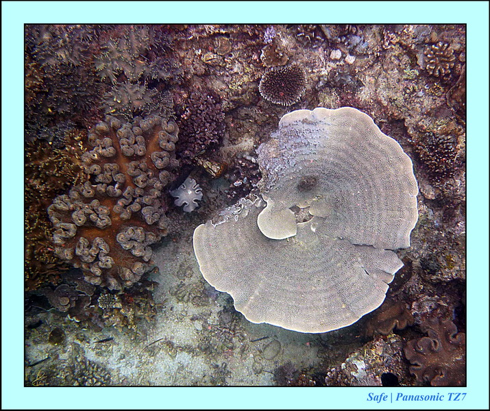 2012 - 07 - Boracay plongee - 03